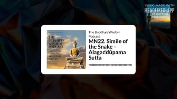 MN22. Simile of the Snake – Alagaddūpama Sutta | The Buddha’s Wisdom Podcast