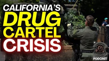 The Drug Cartels Operating RiGHT HERE in California