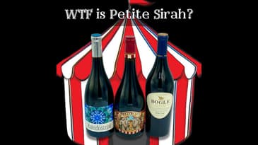 WTF is Petite Sirah?
