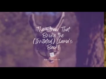 #mentalhealth "Passed" That Test! #motivation #motivational #bible