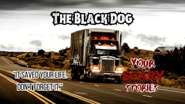 The Black Dog true scary story