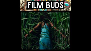 547: In the Tall Grass