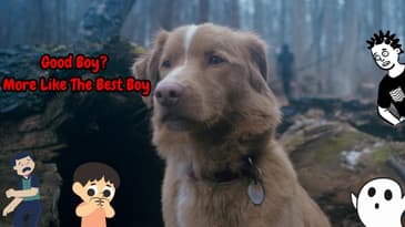 Good Boy? More Like The Best Boy