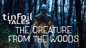The Creature from the Woods