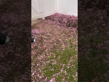 Litheli Cordless Leaf Blower 40V