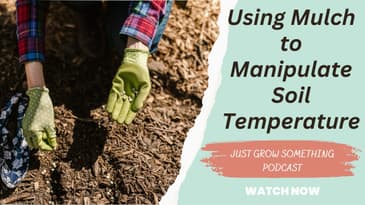 Using Mulch to Manipulate Soil Temperature