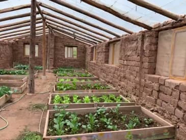 Corporate Groups Volunteer in Peru- Thanksgiving 2021 with Globe Aware (Clip 1)