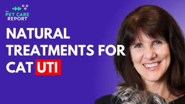 Natural Solutions for Cat Urinary Tract Infections