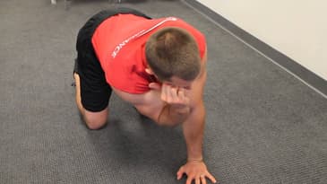 Hands and Knees Elbow Curls