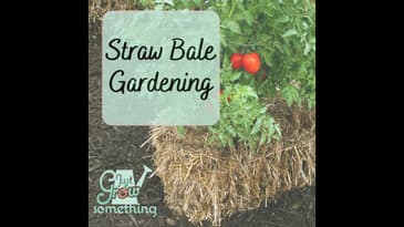 Straw Bale Gardening - Ep. 189