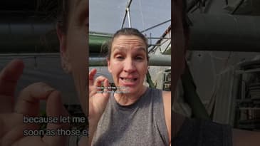 Insect netting for brassicas. #growyourown #garden2025