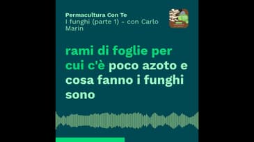 (EP14) I funghi (parte 1) – con Carlo Marin