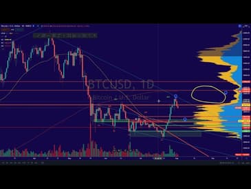 Weekly Update August 2nd, 2021 - Stacked Labs