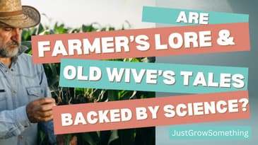 Gardening by Nature’s Signs: Old Wisdom Backed by Science - Ep. 241