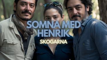 Somna med Henrik: Skogarna