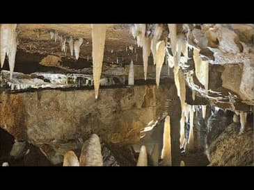 The Dream is Free | OnTheMove #blackcoffeeclub