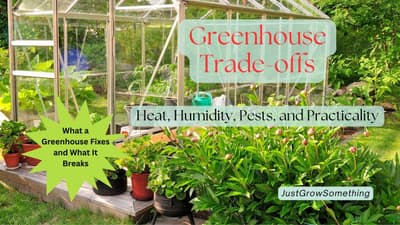 Greenhouse Tradeoffs: Heat, Humidity, Pests, and Practicality - Ep. 293