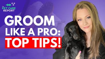 Top Dog Grooming Tips: Keep Your Dog Happy and Healthy!