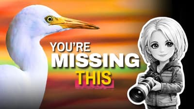 Deborah Sandidge: Most Photographers Miss This… Do You?