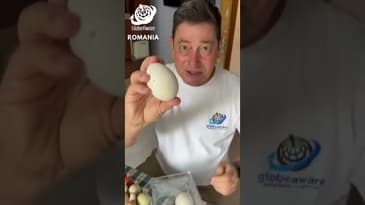 They Don't Worry About Egg Prices Here! A Romanian Breakfast with Globe Aware
