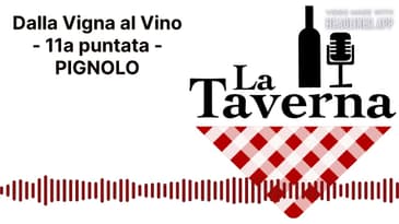 Dalla Vigna al Vino - 11a puntata - PIGNOLO | La Taverna Friuli Wine