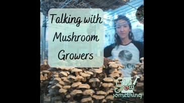 Ep. 141 - Talking with Mushroom Growers