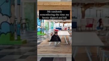 Laugh Randomness #lol #memes #funny