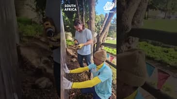 Second Day Of Work! South Africa with Globe Aware (CHG EVT Group)