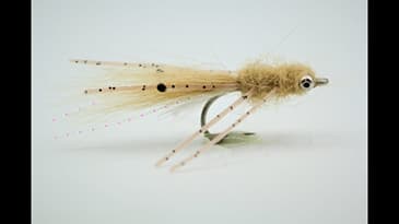 PART 3 OF OUR 4 PART SALTWATER SERIES. VERVERKA'S MANTIS SHRIMP