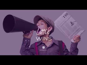 Little Wins