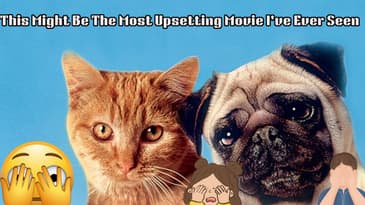 This Might Be The Most Upsetting Movie I've Ever Seen