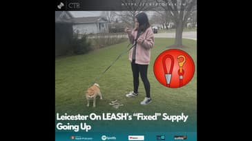 Leicester On #LEASH ’s “Fixed” Supply Suddenly Going Up; Allegedly a v2 Launch Imminent (OOC)