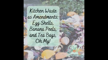Ep. 145 - Kitchen Waste as Plant Food: Egg Shells, Banana Peels, and Tea Bags, Oh My!