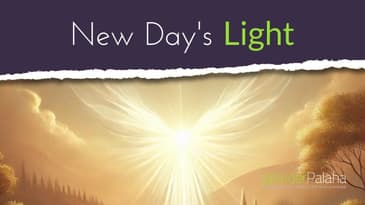 New Days Light - AI Music Video