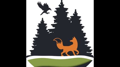 Fox & Crow Group Live Stream