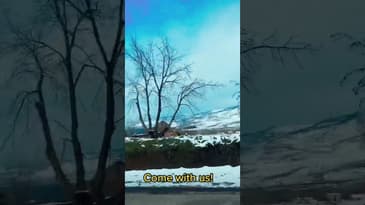 USA California Canada Vancouver! Come with us! #shorts #travel #family