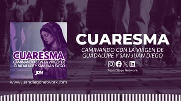 Día 2: Aprendiendo a contemplar | Cuaresma Caminando con la Virgen de Guadalupe y San Juan Diego
