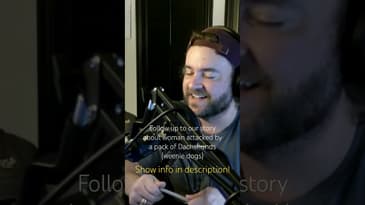 Stay in the Gray Podcast PREVIEW CLIP - Weenie dog attack follow up! #newpodcast