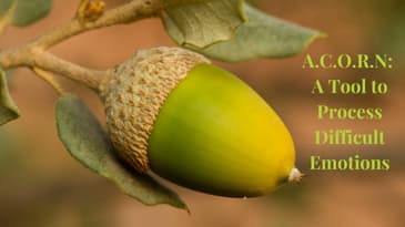 Episode 11: A.C.O.R.N: A tool to Process Difficult Emotions  Christian Emotional Recovery Podcast