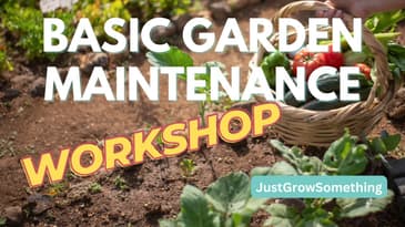Basic Garden Maintenance Workshop