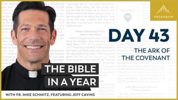 Day 43: The Ark of the Covenant — The Bible in a Year (with Fr. Mike Schmitz)