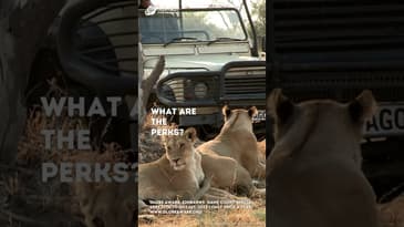 ONLY ONCE A YEAR! ZIMBABWE, AFRICA CONSERVATION PROGRAM WITH GLOBE AWARE!