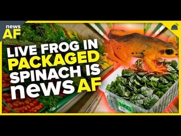 Live Frog in Packaged Spinach is News AF August 15, 2023