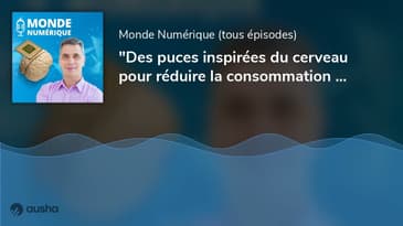 "Des puces inspirées du cerveau pour réduire la consommation d'énergie" (Jean-René Lequepeys, CEA...