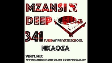 Session 341 TPS - Nkaoza - Soulful & Deep House Classics Vinyl Mix