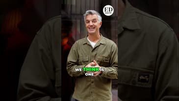 Accuse Friends! Experience The Traitors Live Experience! Vote Now! #shorts