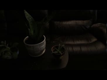 Smartta SliderMini 2