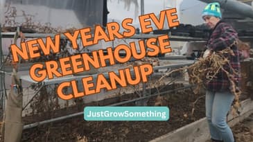 New Years Eve Greenhouse Cleanup!