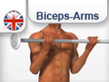 Standing Barbell Curl - Killer Home Arm Workout