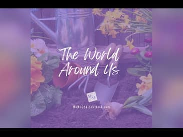 #motivation: The World Around You #motivational #inspiration #bible
